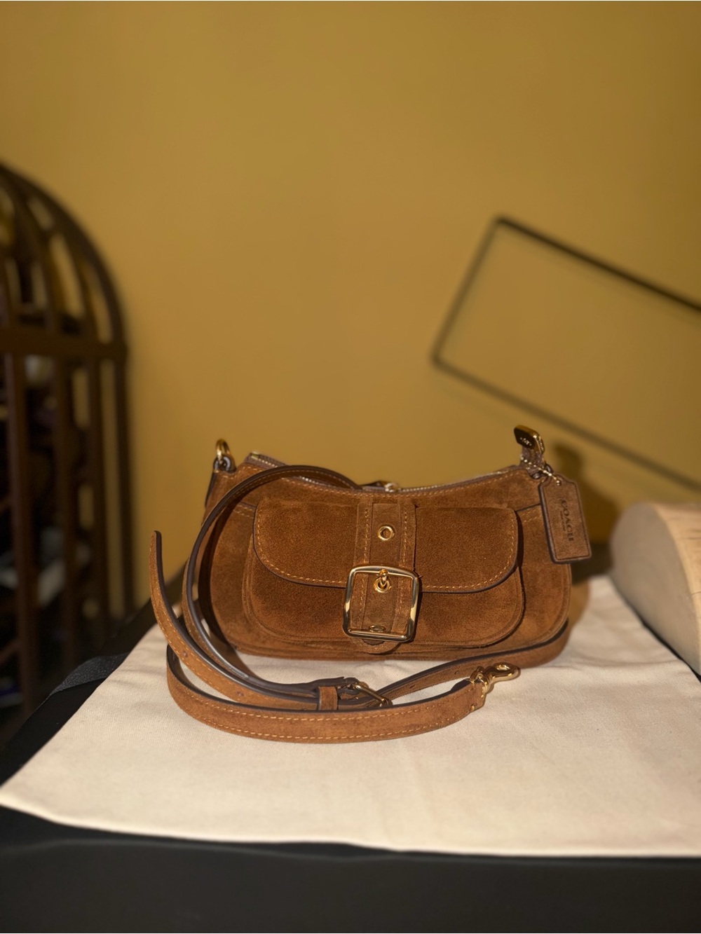 Coach Mini Ashton Suede Crossbody CFA50 NWT - Picture 5 of 11